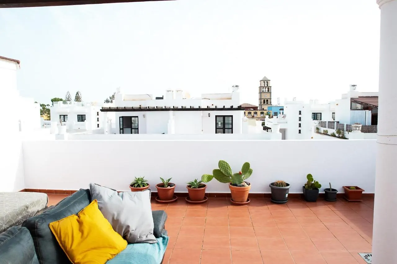 Surf Dream Surfhouse Hostel Corralejo